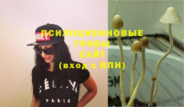 мет Абинск